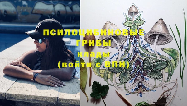 марки lsd Алексеевка