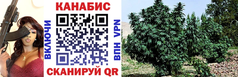 Марихуана конопля  Купить где  Верхний Тагил 